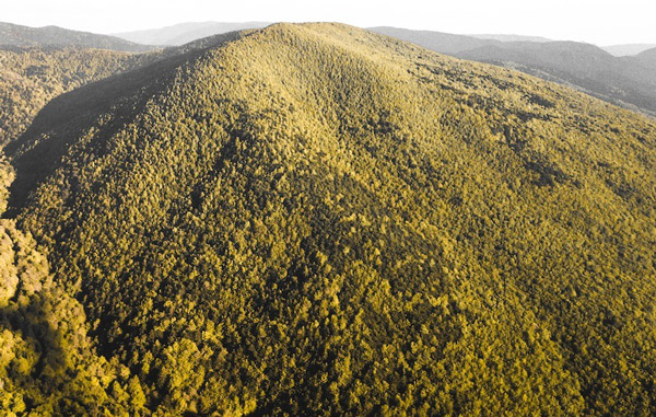 Divieto di arrampicata all’interno del Parco dell’Aspromonte per consentire nidificazione uccelli rapaci