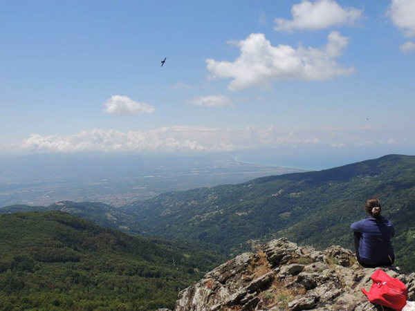 “Paesaggi del Reventino”, dal 18 dicembre la mostra fotografica con gli scatti sul territorio