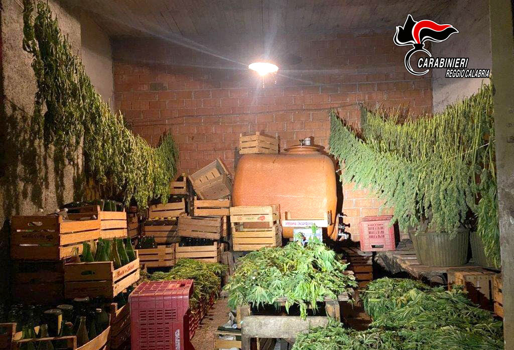 Sequestrati 54 chili di marijuana nel Reggino, due denunce 