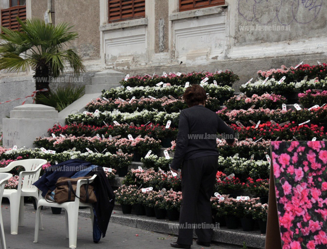 Azalea_ricerca_2012_lamezia_bis