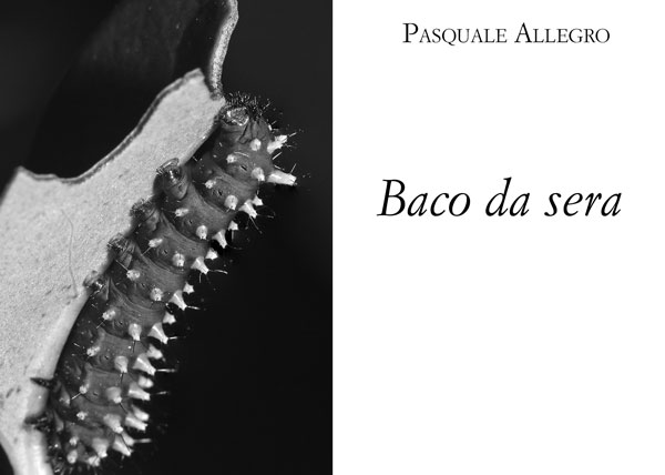 Lamezia, nelle librerie "Baco da sera" raccolta di poesie di Pasquale Allegro  