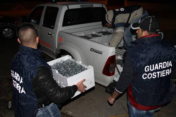 Calabria: Sequestrati cento chili di bianchetto a Sellia Marina