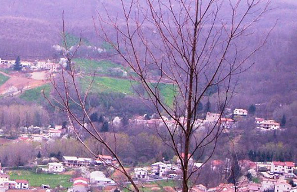 Giunta regionale approva criteri cofinanziamento Reventino-Savuto