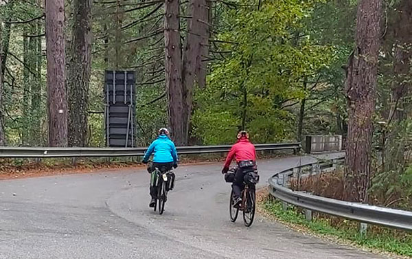 Bikers3.jpg