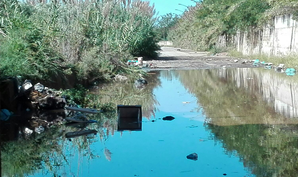 Lamezia, Fratelli d’Italia denuncia abbandono rifiuti in località Bosco Amatello