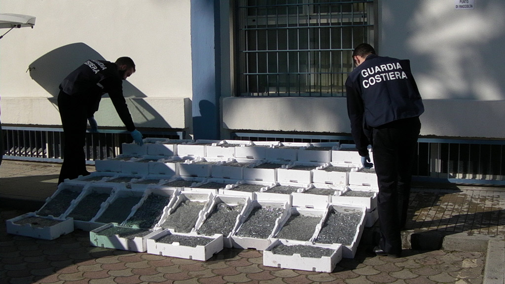 Sequestrate una tonnellata di bianchetto e rete vietata a Corigliano Calabro