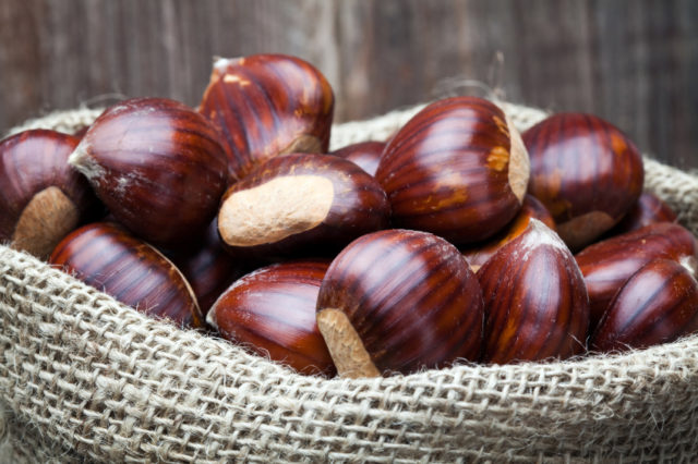 Dopo strage parassita aumenta raccolto castagne in Italia, ma in Calabria produzione cala