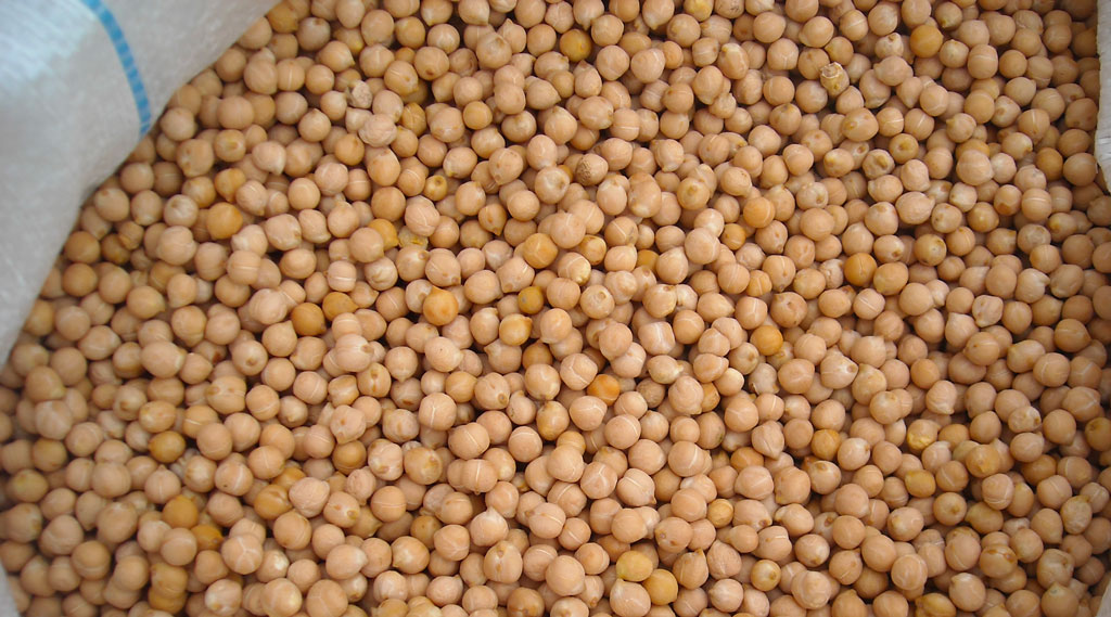 CECi-NOSTRANO.jpg