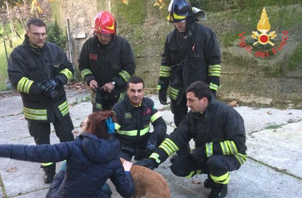 Tre cagnolini finiscono in canale interrato a Conflenti, salvati dai vigili del fuoco  