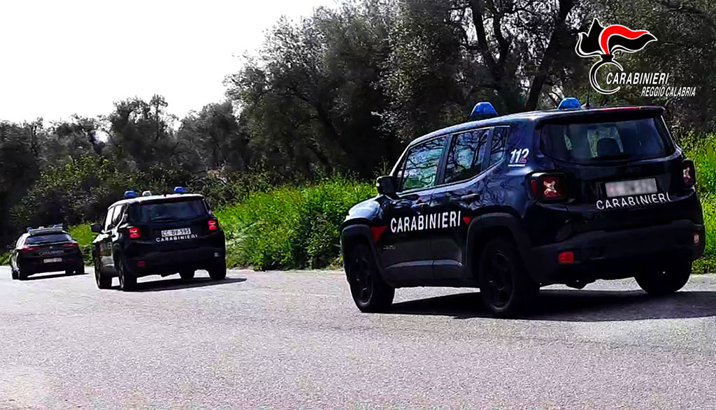 Controlli alle aziende agricole della piana di Gioia Tauro, sanzioni fino a 14mila euro