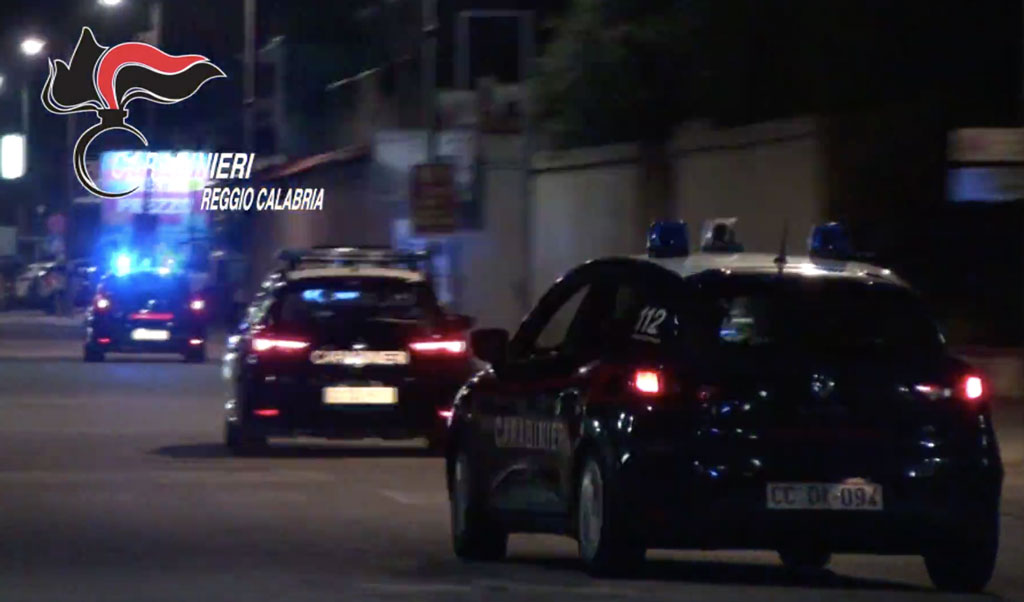 Servizi di controllo territorio nel Reggino, 8 denunce e sanzioni per 29mila euro - VIDEO
