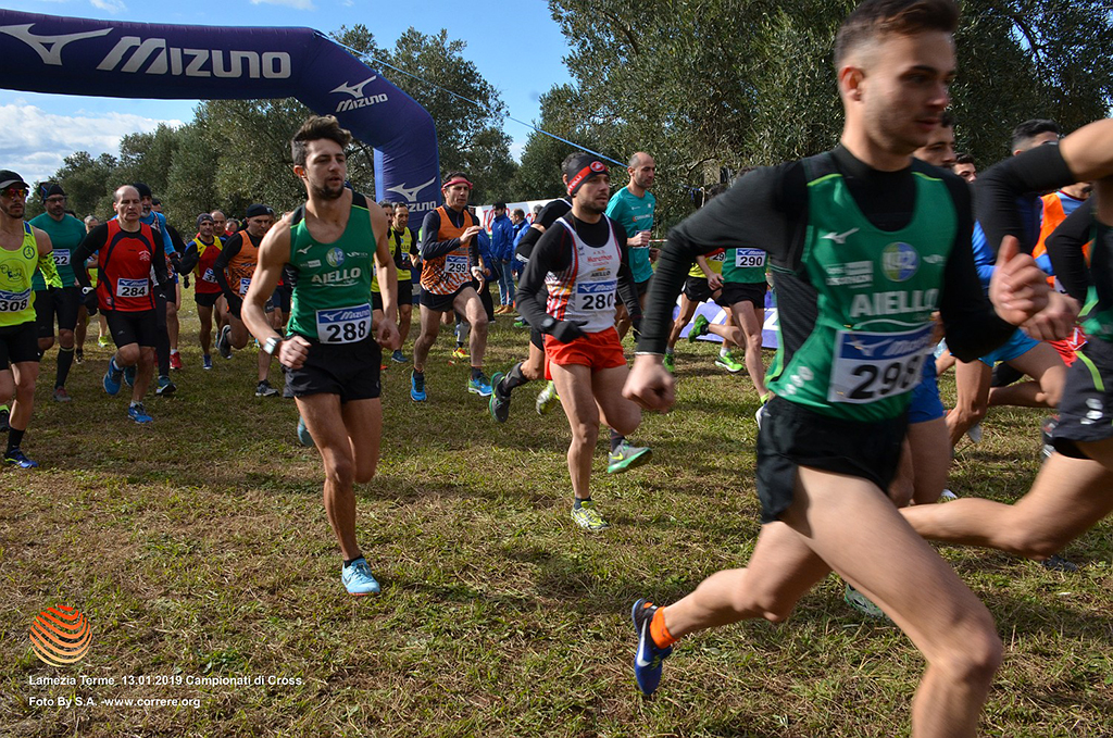 CROSS-3-14012019.jpg
