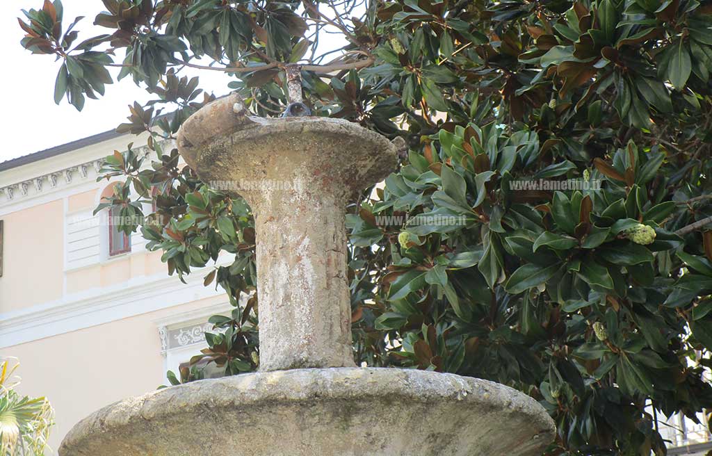 CSO-NUMISTRANO.jpg