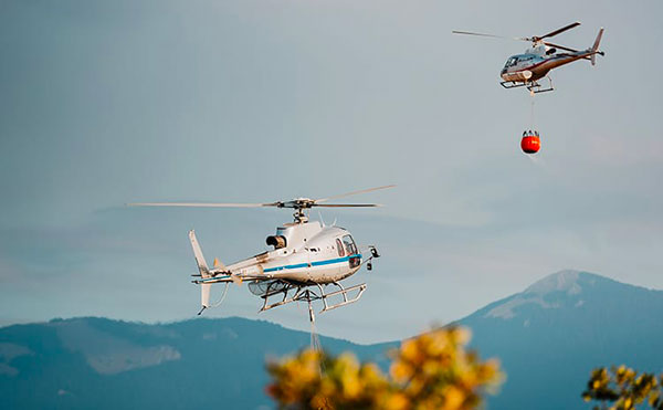Incendi in Calabria, il 21 agosto record interventi con mezzo aereo: maggiormente colpiti Gizzeria e Terravecchia