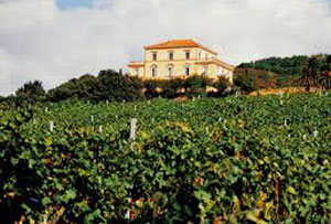 Cantine-Lento_lamezia.jpg