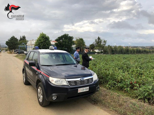 Migranti sfruttati, arrestato imprenditore agricolo nel cosentino