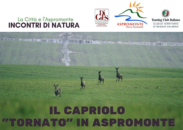 Proseguono "Incontri di Natura" sul capriolo nel Parco dell’Aspromonte il 23 maggio 
