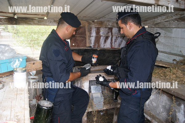 Calabria: Nascondeva cocaina nella gabbia dei conigli, arrestato 42enne 