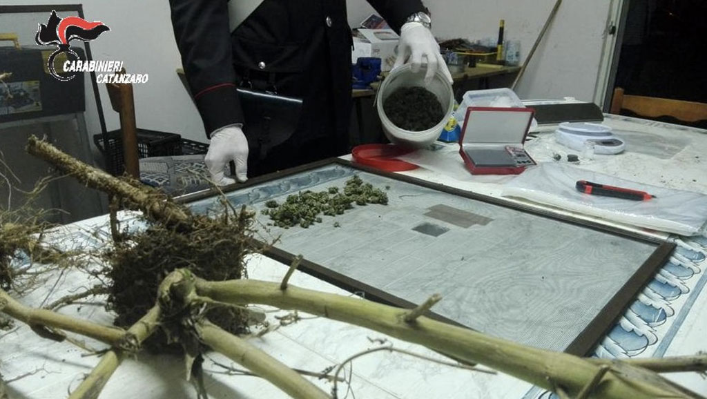 Carabinieri_arresto_marijuana2.jpg