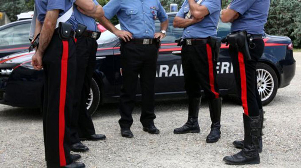 Distrutta coltivazione ex vice sindaco di Filandari