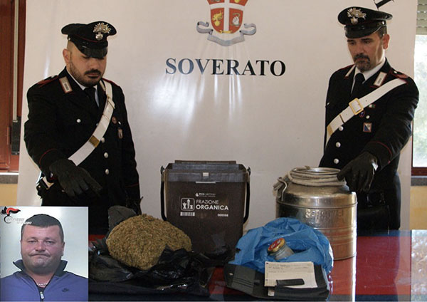 Nascondeva un chilo e mezzo di marijuana nell’uliveto, arrestato sorvegliato speciale nel catanzarese