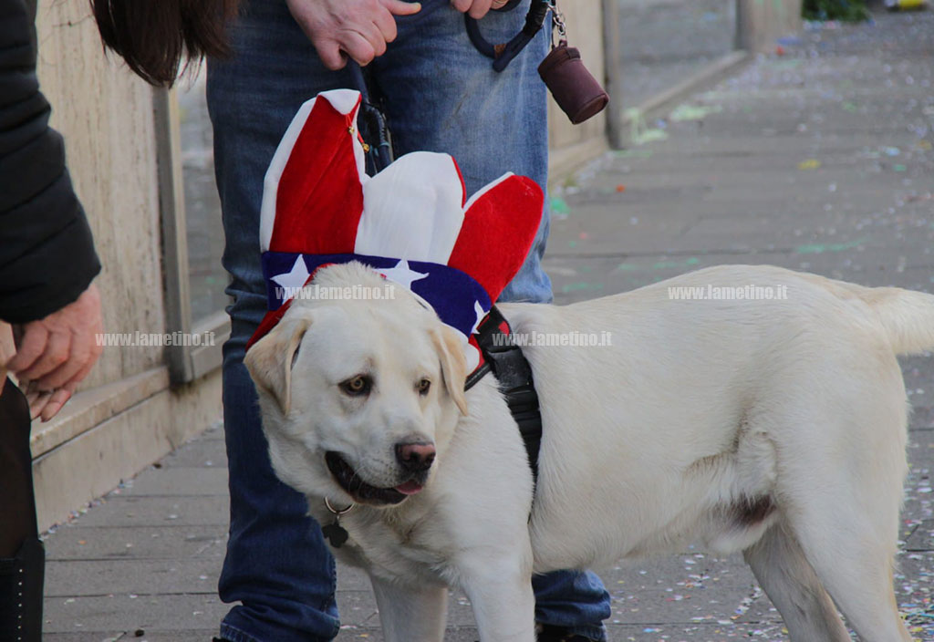 Carnevale-2022-lameziacd21e8_d4eac.jpg