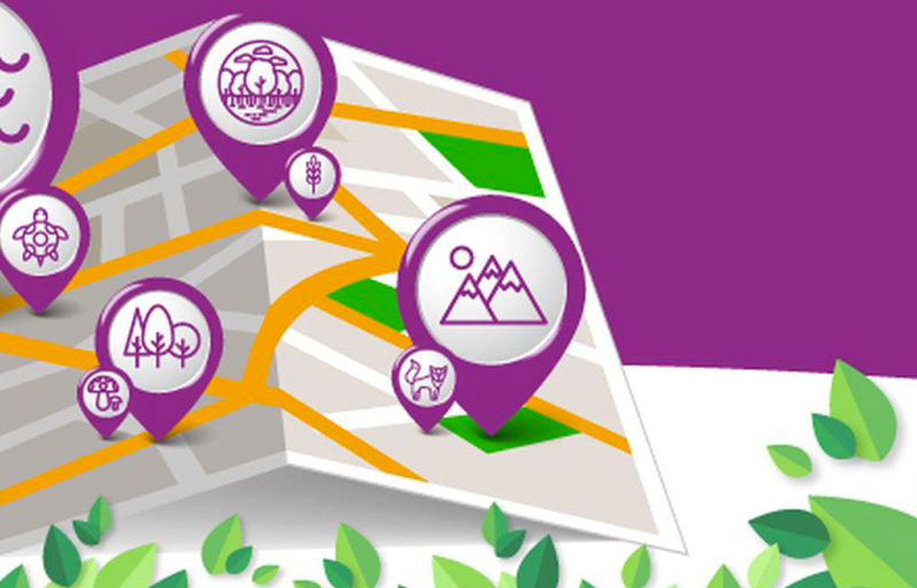 Approvato il progetto per la cartografia dei sistemi naturali della Calabria