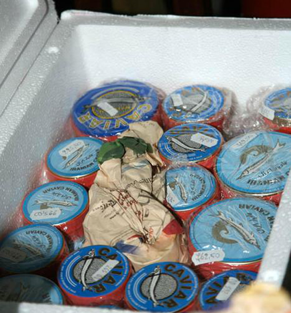 Lamezia: Tenta d'importare caviale dalla Russia, sequestro in aeroporto