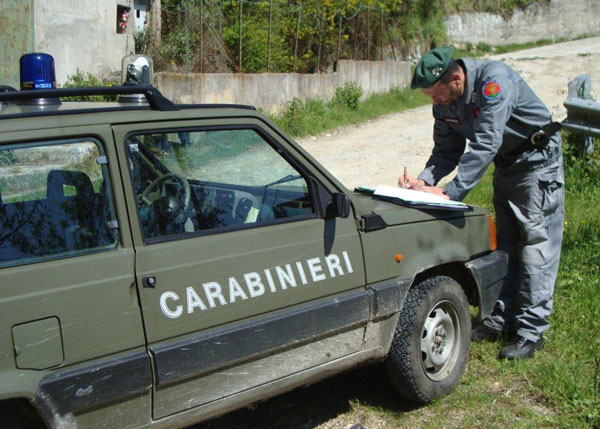 Cc-forestali-1.jpg
