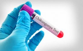 Virus Chikungunya, 6 casi di infezione nel catanzarese