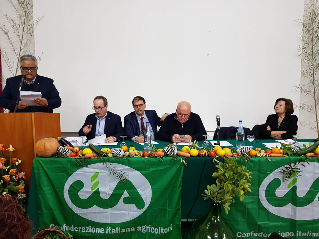 Cia-calabria-2.jpg