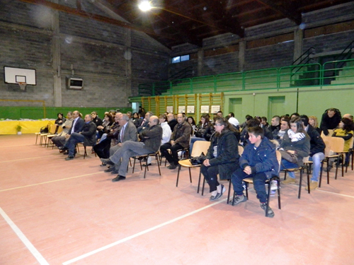 Cinipide-Decollatura-2