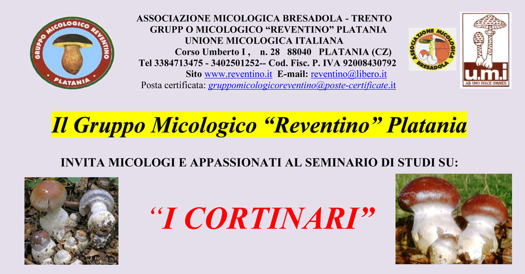 Seminario sui “Cortinari” organizzato il 17 giugno dal Gruppo Micologico "Reventino" di Platania