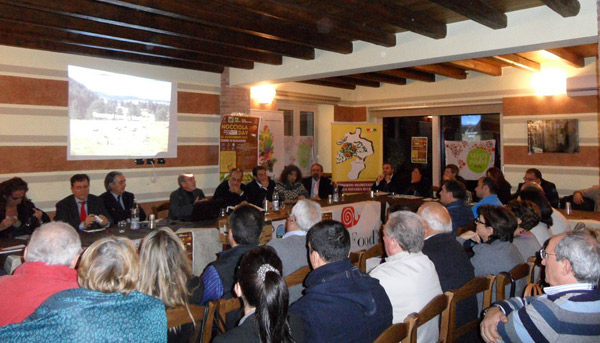Calabria: Concluso convegno “Nocciola Day” a Torre Ruggiero 