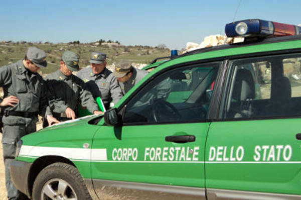 Corpo-Forestale-dello-Stato-indagini.jpg