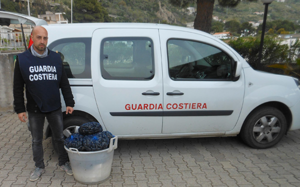 Calabria: Sequestrati 50 kg di cozze senza certificazione a Cetraro