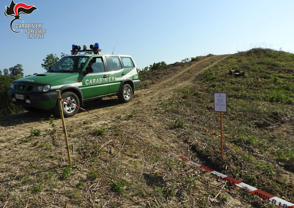 Distrutto bosco di mezzo ettaro a Crucoli