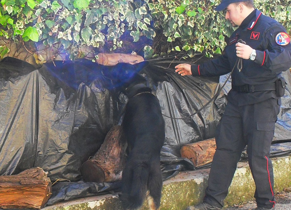 Calabria: Nascondeva cocaina in un pacco di gomme da masticare, arrestato 