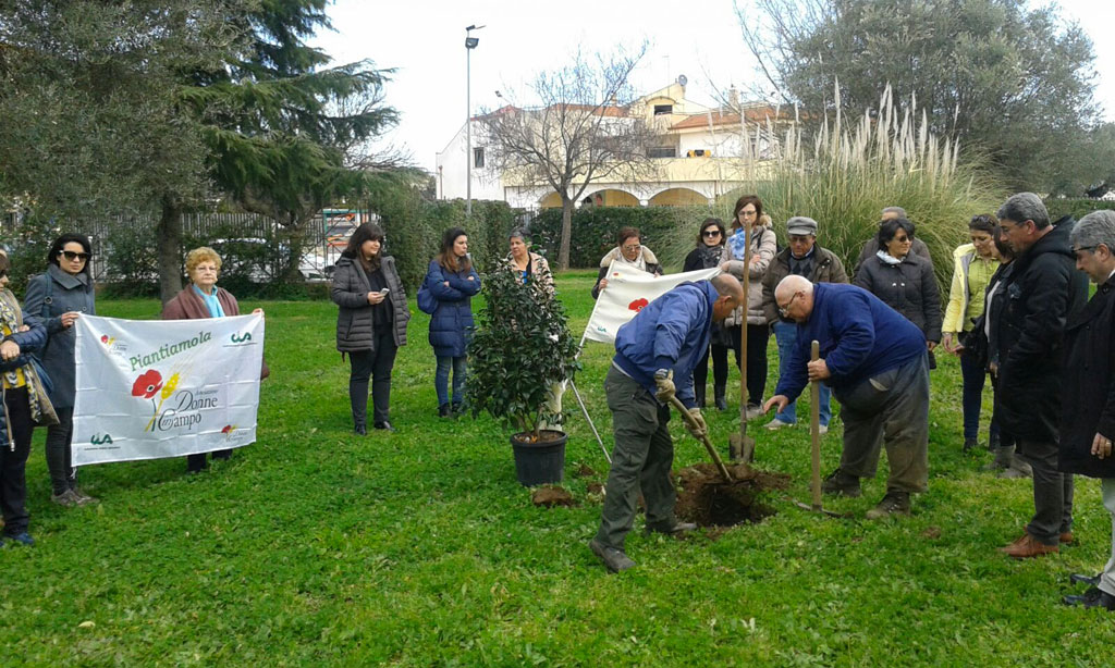 Donne e ambiente, nuovo albero nel parco Fabiana Luzzi