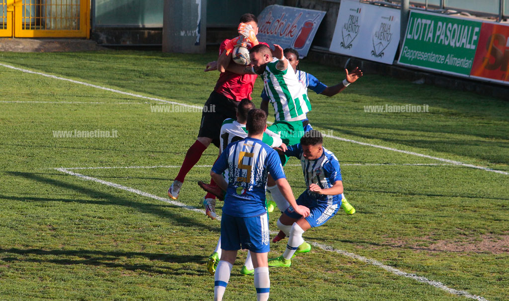 DPP_10818vigor-l-20191.jpg