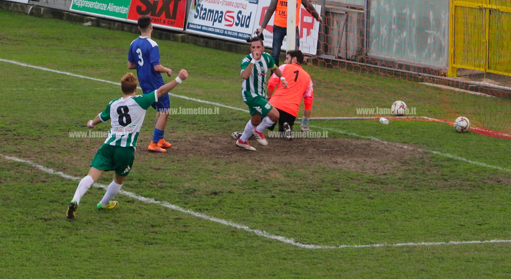 DPP_9059gol1-vigor.jpg