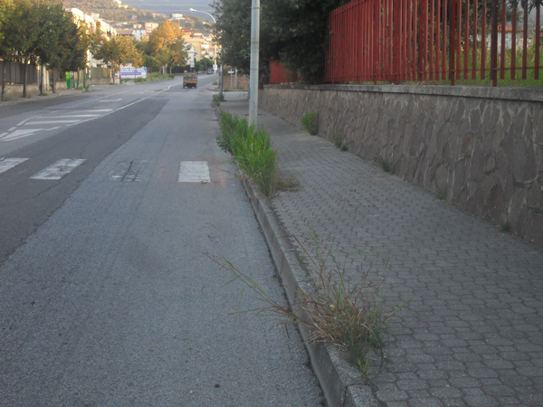 Degrado-Capizzaglie2.jpg