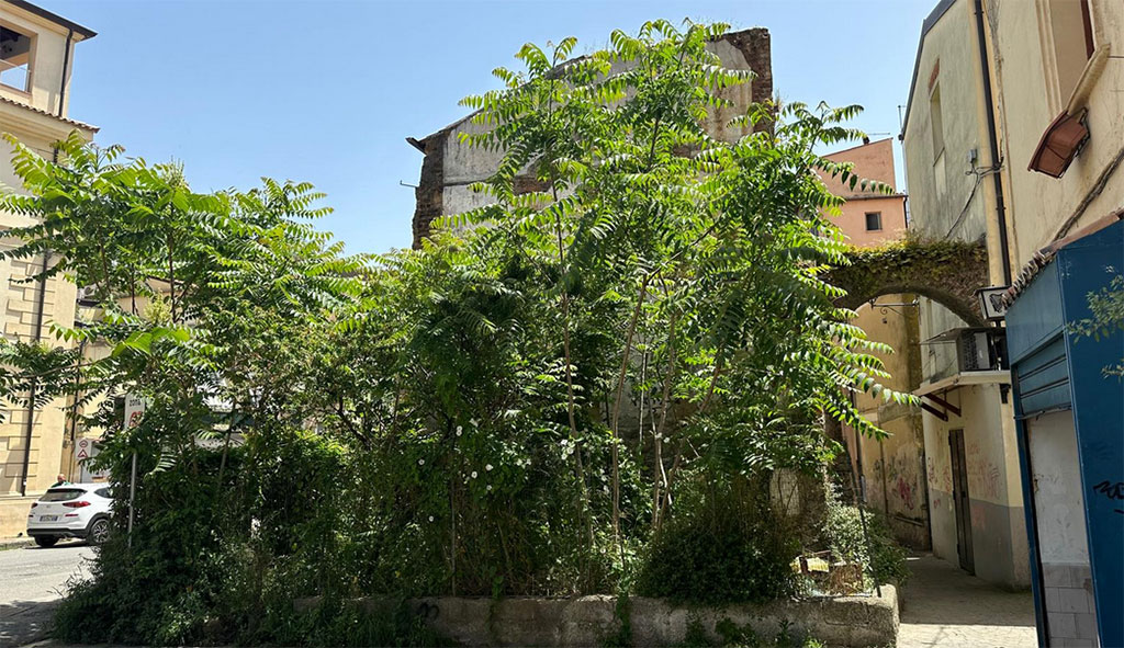 Degrado-maggio2024_a5a84.jpg