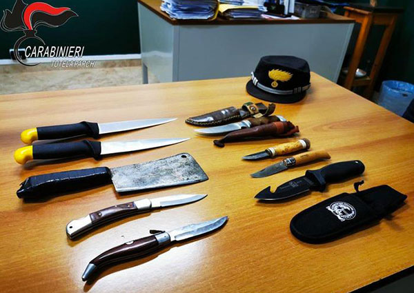 Detenevano armi, denunciate due persone nel Parco del Pollino