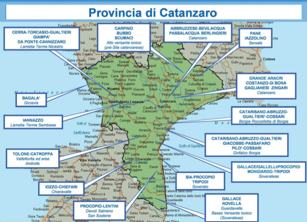 Relazione Semestrale Dia, gli interessi della ‘ndrangheta: dalle piccole realtà alla grande distribuzione