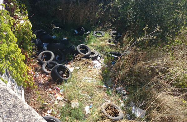 Mtl Lamezia denuncia discarica abusiva a Magolà