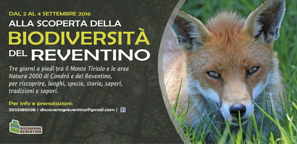 Tre giorni alla scoperta della biodiversità del Reventino, dal 2 al 4 settembre