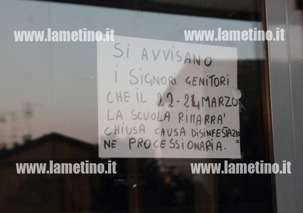 Lamezia: Chiuse da sabato a lunedì quattro scuole per disinfestazione processionaria