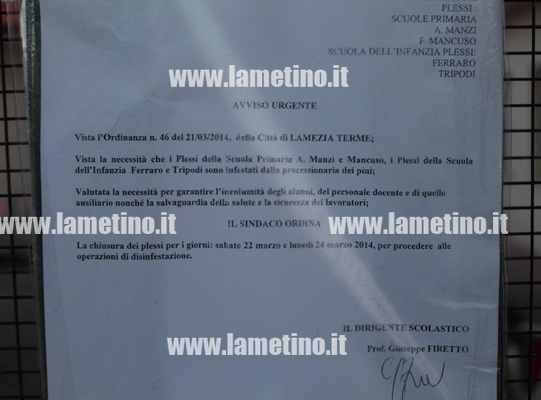 Disinfestazione-Processionaria2.jpg