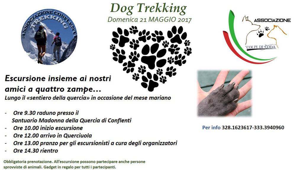 Dog-Trekking.jpg